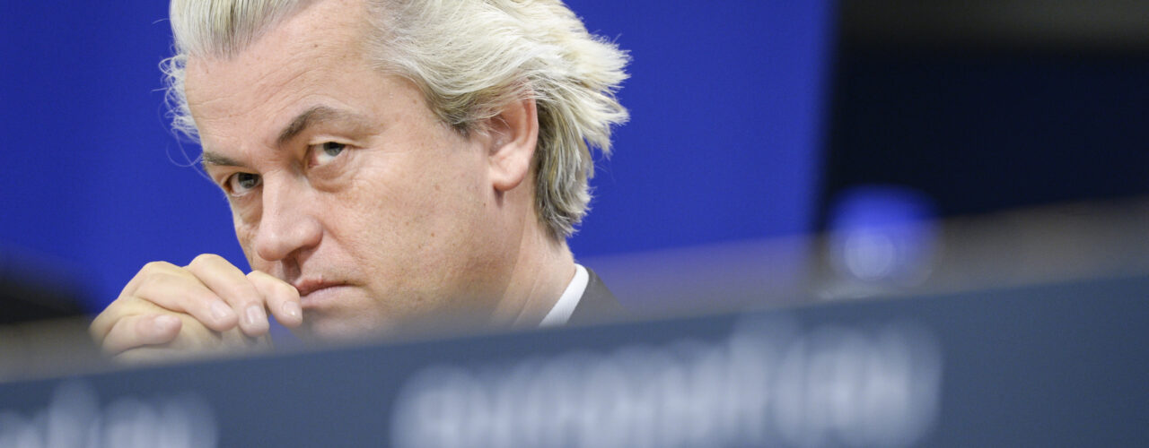 Geert Wilders, Europees Parlement