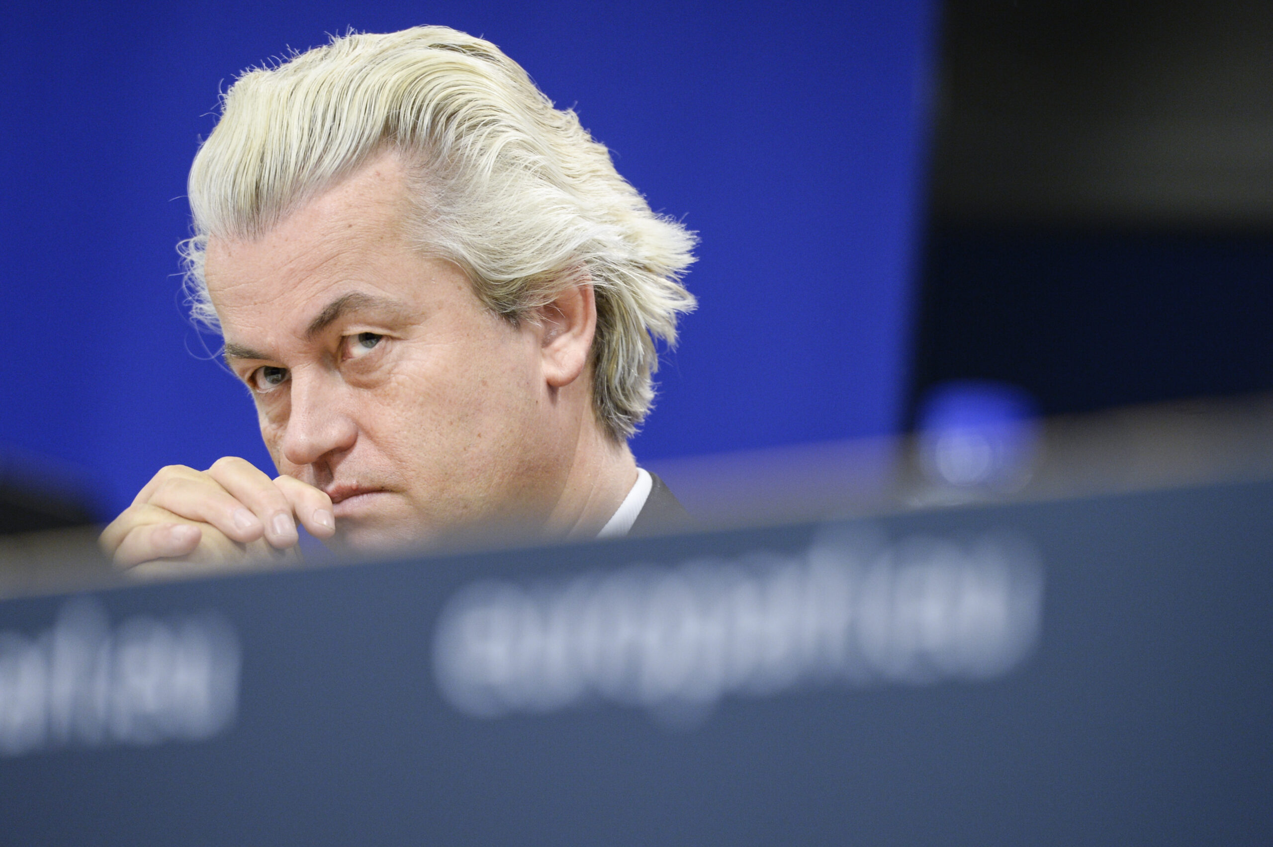 Geert Wilders, Europees Parlement