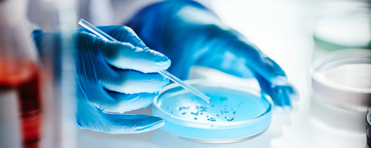 Close up on hands of unrecognizable scientist in vinyl gloves dripping liquid from pipette into petri dish studying microbiology at light table in laboratory, copy space