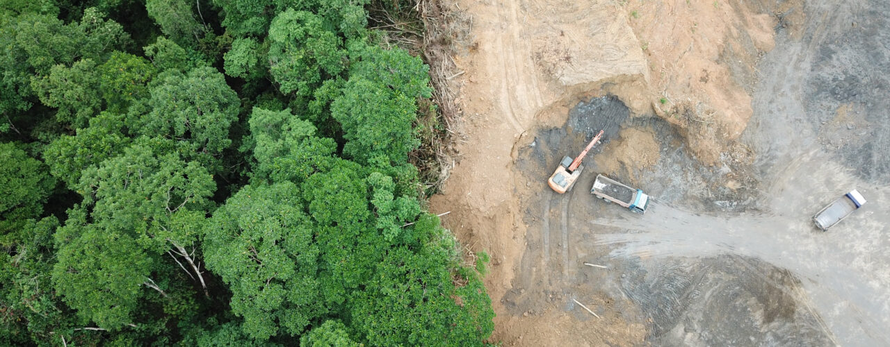 Logging. Aerial drone view of deforestation environmental problem in Borneo