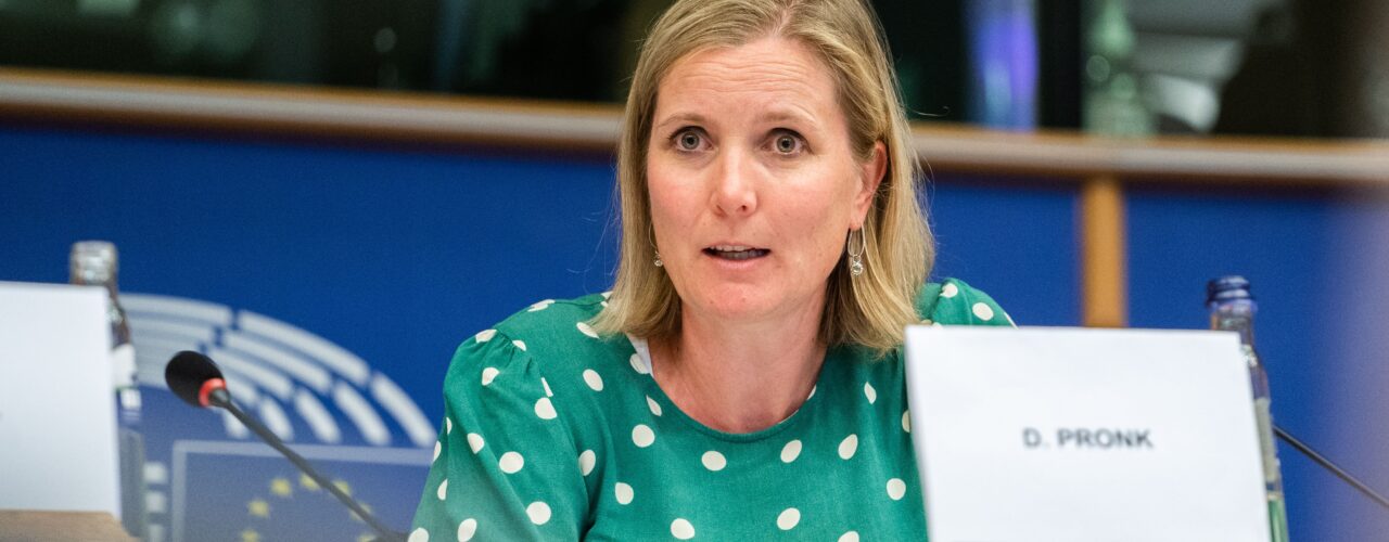 SEDE Subcommittee - Exchange of views with Delphine PRONK, Ambassador, Chair of the Political and Security Committee of the European Union, Deputy Political Director, EEAS