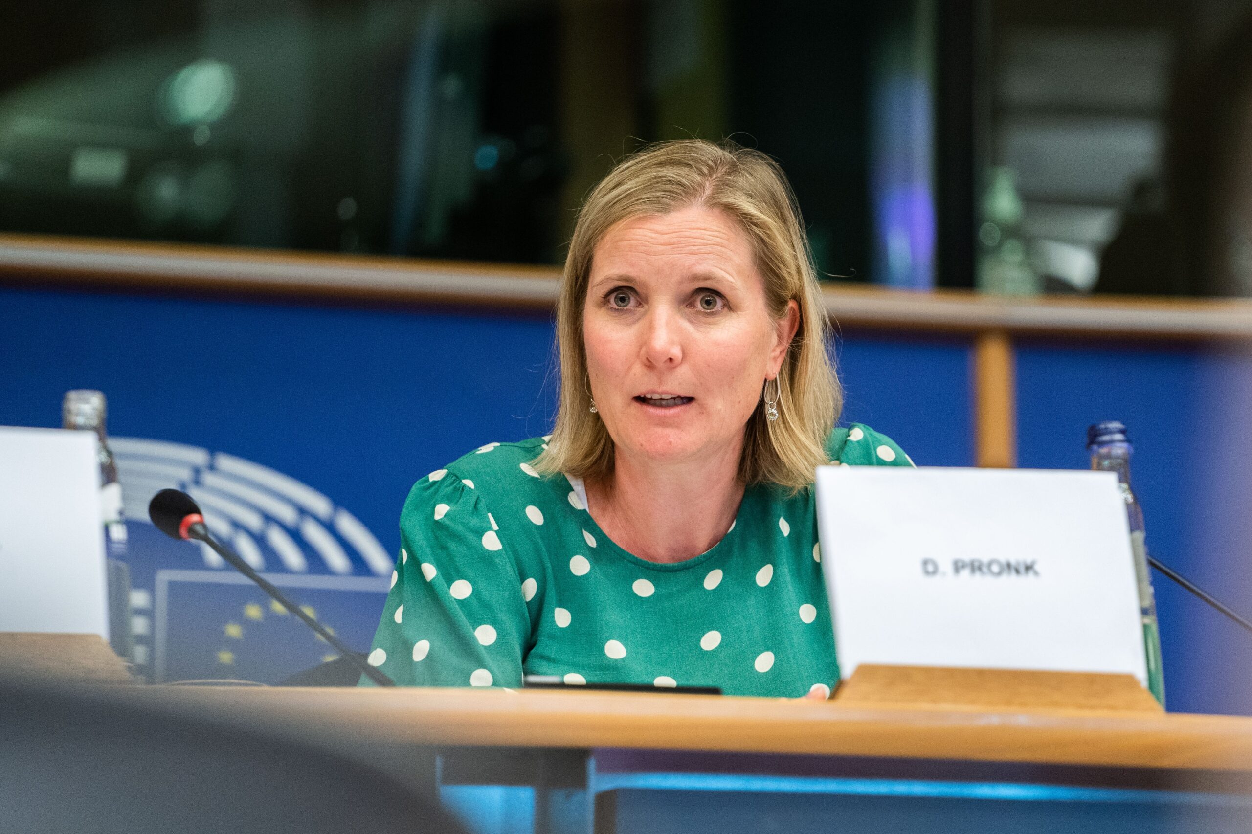 SEDE Subcommittee - Exchange of views with Delphine PRONK, Ambassador, Chair of the Political and Security Committee of the European Union, Deputy Political Director, EEAS
